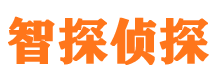 新津寻人公司